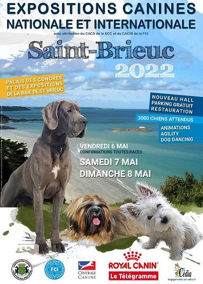 Du Paradis d'Urgo - Exposition canine de St Brieuc