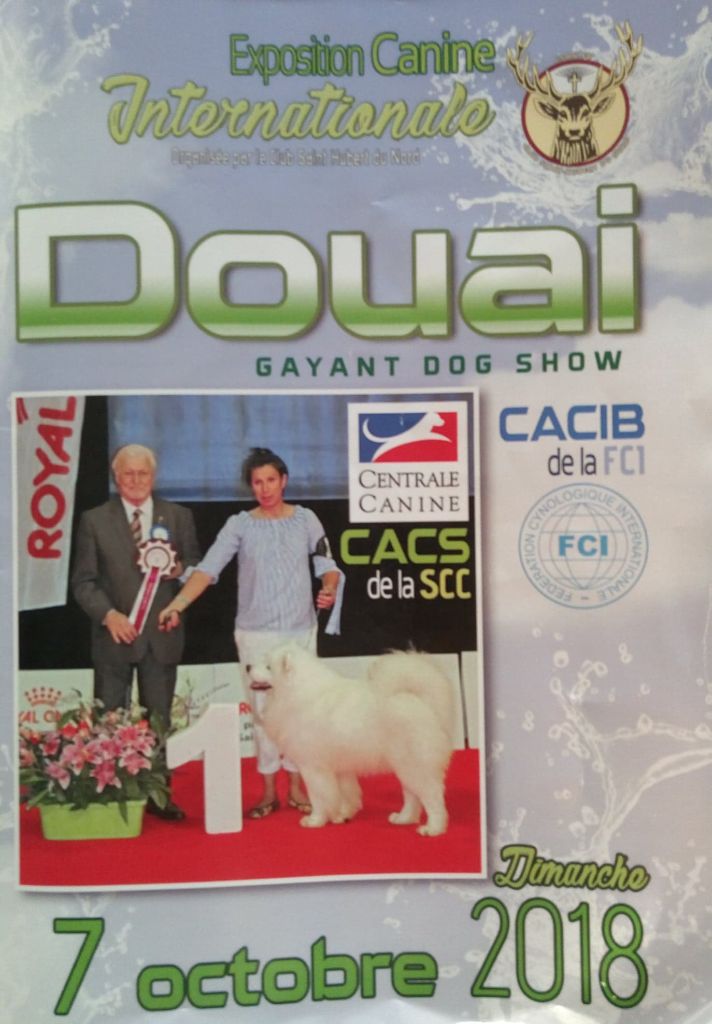 Du Paradis d'Urgo - EXPOSITION CANINE INTERNATIONALE DOUAI 2018