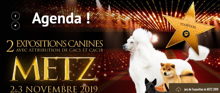 Du Paradis d'Urgo - Exposition Canine de Metz 2019