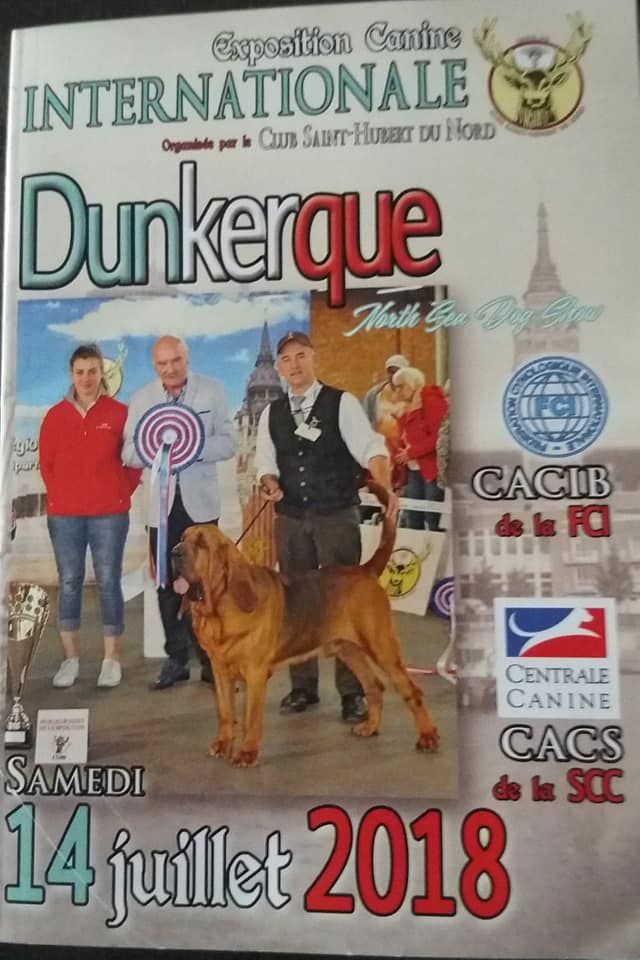 Du Paradis d'Urgo - Exposition Internationale Dunkerque North Sea Dog Show 2018
