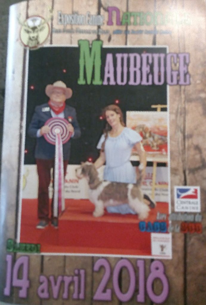 Du Paradis d'Urgo - Exposition Canine Nationale de Maubeuge 